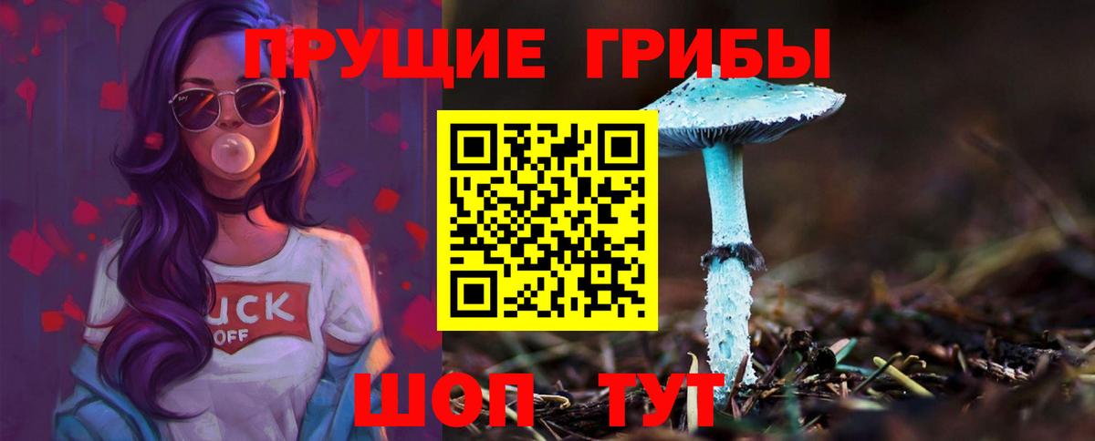 Псилоцибиновые грибы мицелий  Вход с VPN  Пушкино 
